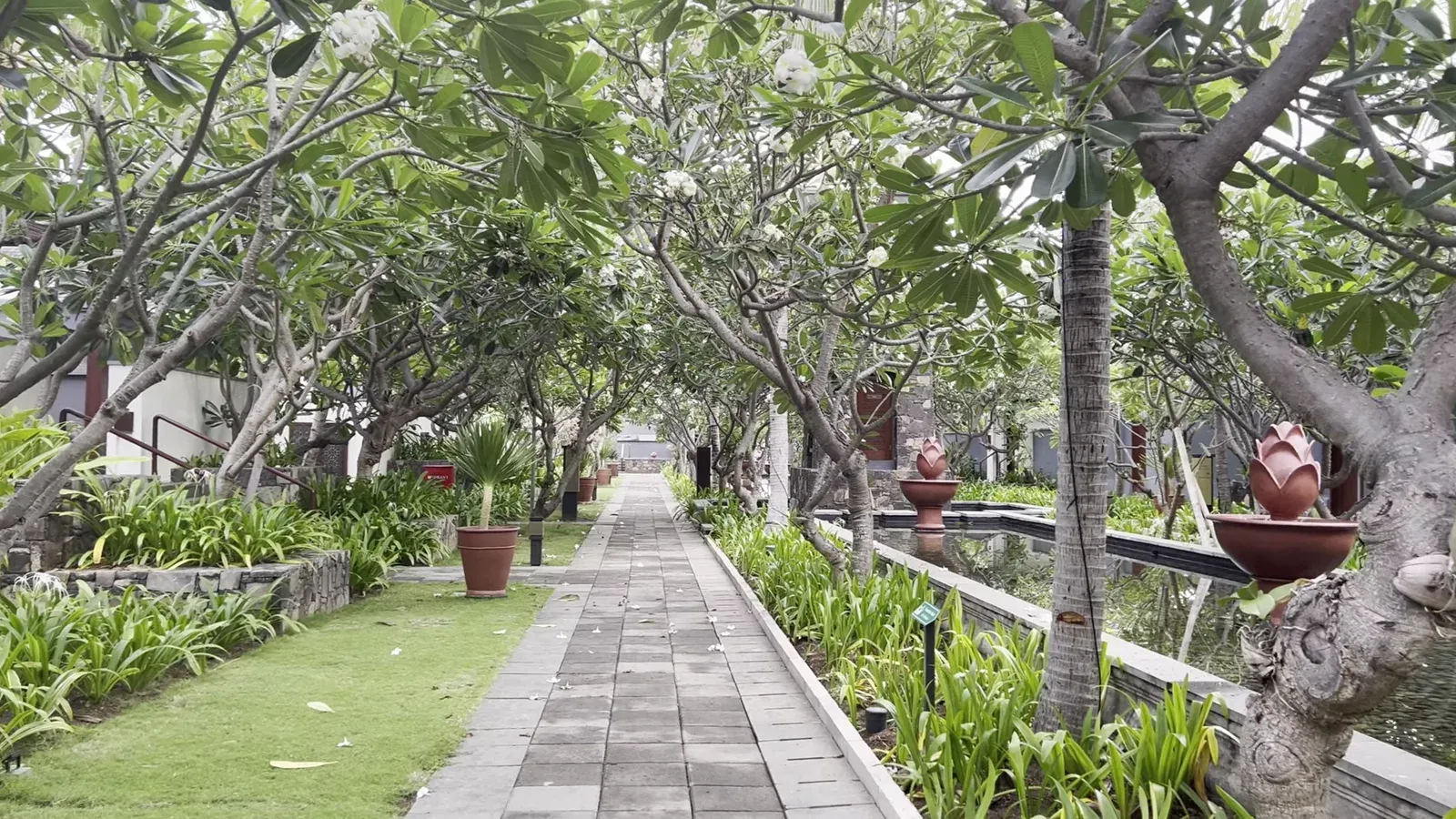The tree-lined path to the private villas at The Sira Lombok